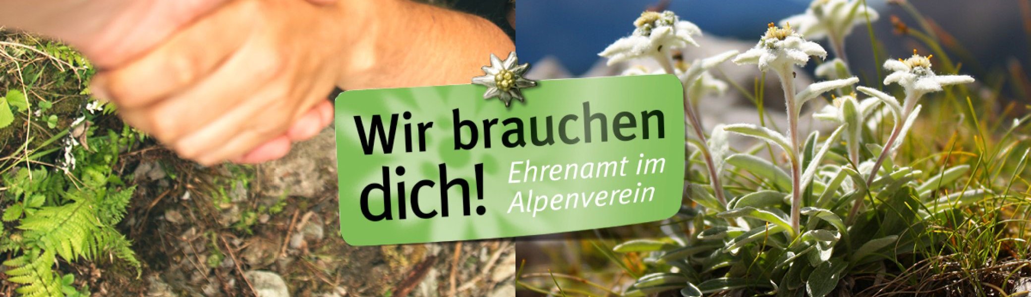 Banner mit zwei festhaltenden Händen und Bergen | © Deutscher Alpenverein e. V.