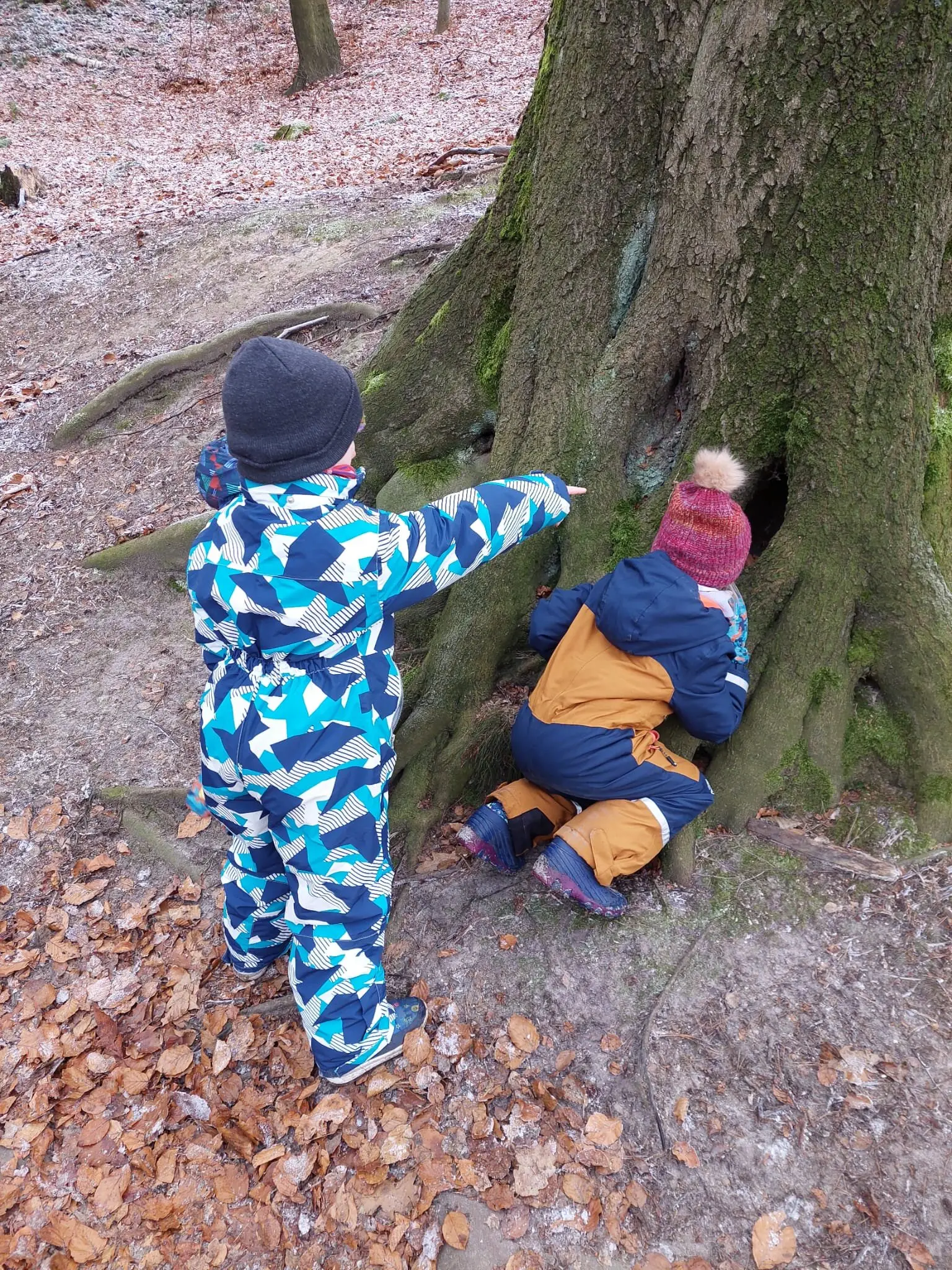 kleine Abenteuer | © Bonnie Charles