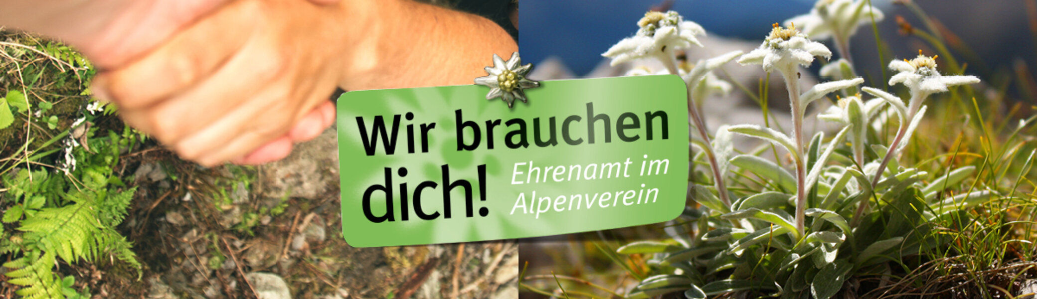 Banner mit zwei festhaltenden Händen und Bergen | © Deutscher Alpenverein e. V.