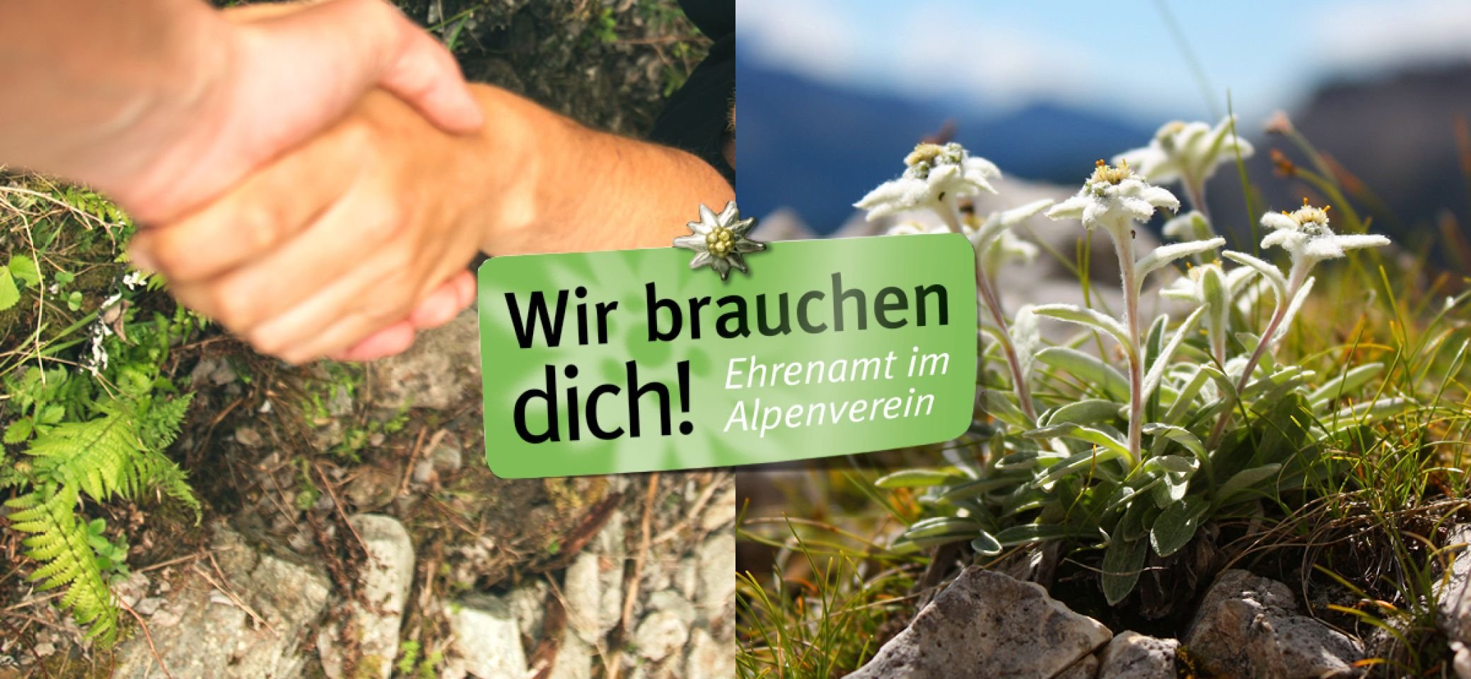 Banner mit zwei festhaltenden Händen und Bergen | © Deutscher Alpenverein e. V.